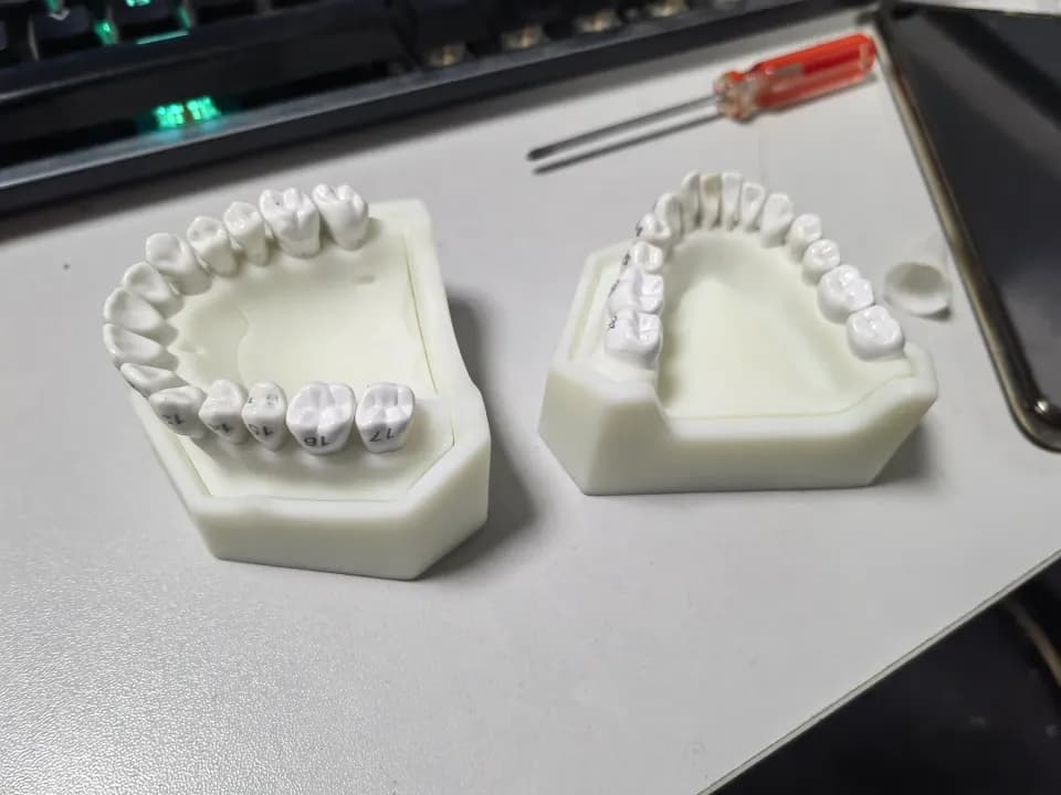 齿科模型，工程实拍