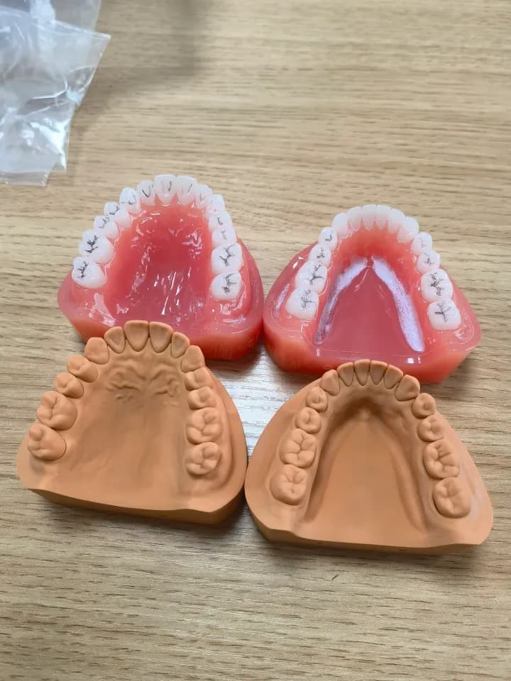 齿科模型，工程实拍