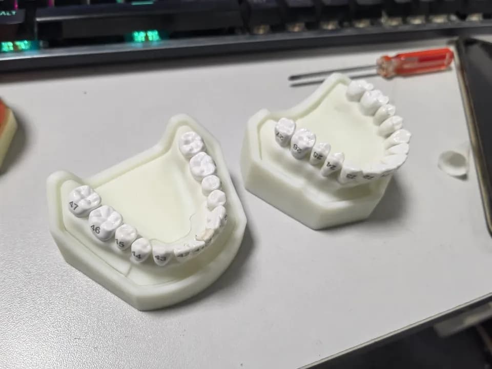齿科模型，工程实拍